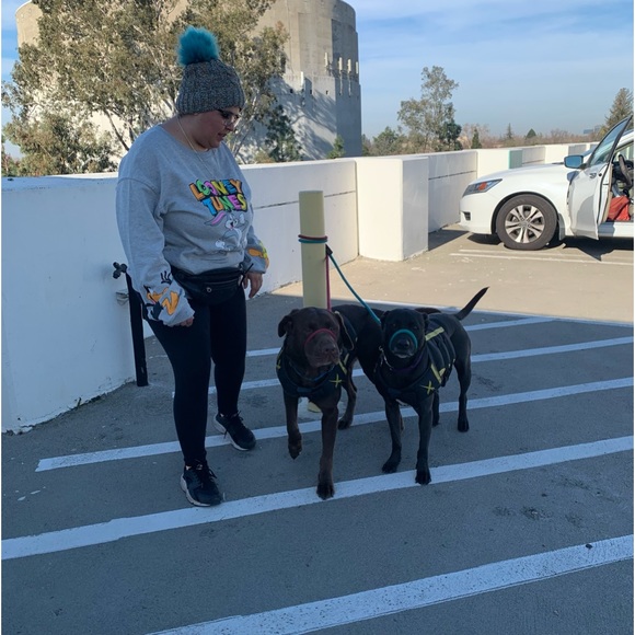 Meet your Posher, Juana - Picture 8 of 16